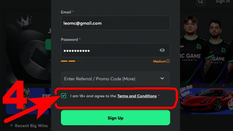 Registration at BC.Game Casino Step 4